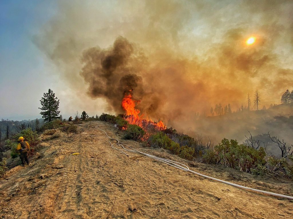 california firefighters, wildfires