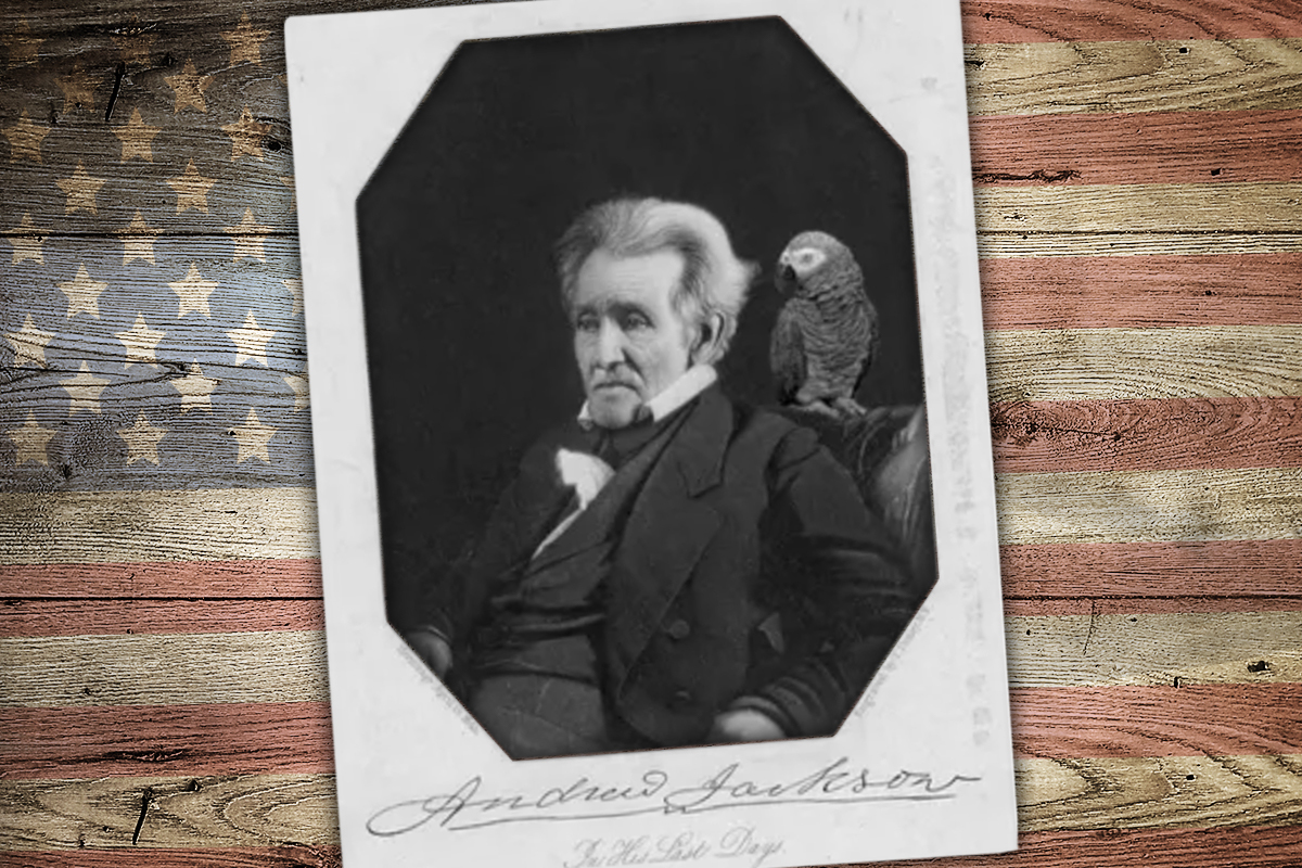 Andrew Jackson's swearing parrot 