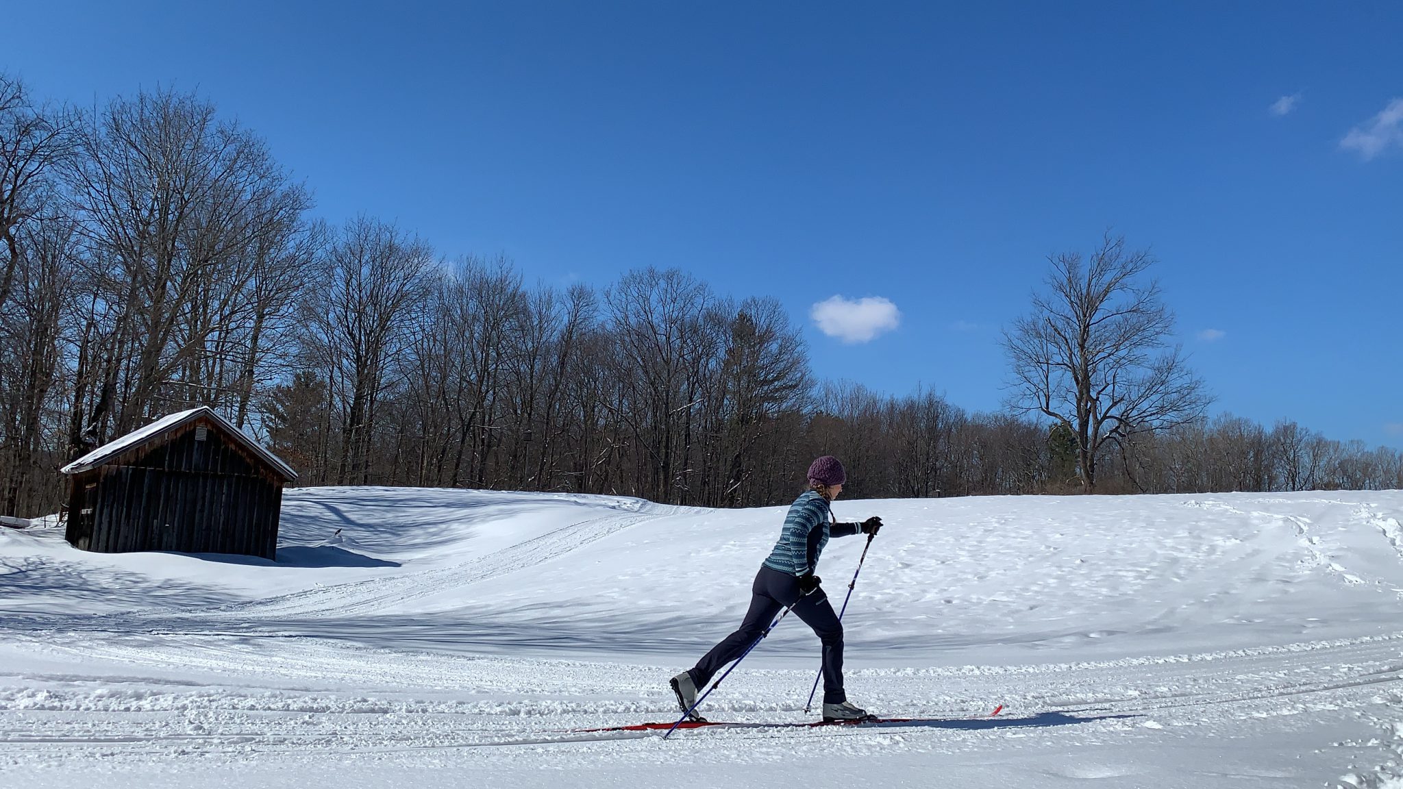 Learn how to cross country ski then get out and explore