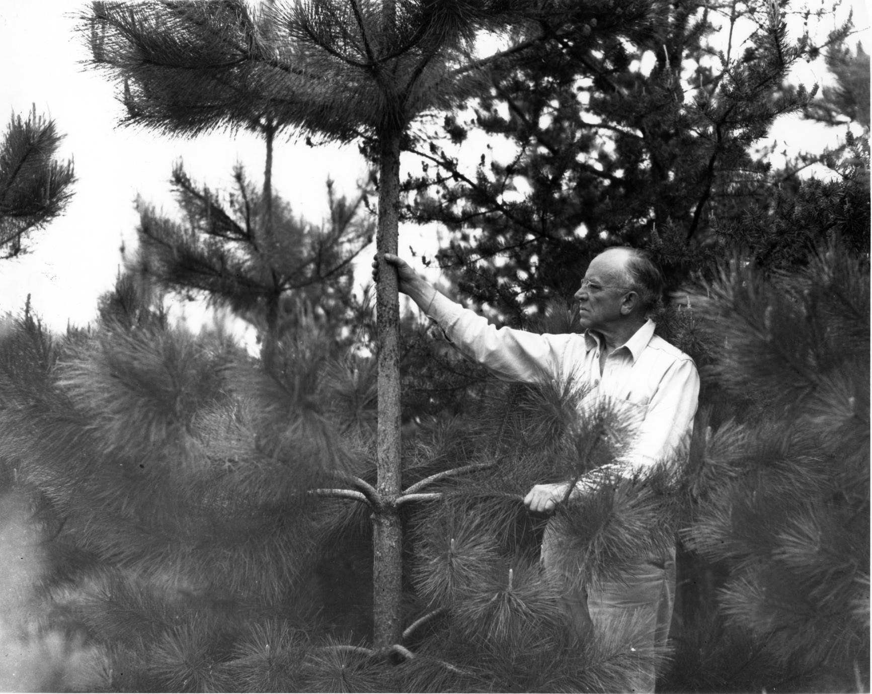 Aldo Leopold A Conservationist’s Life in Pictures