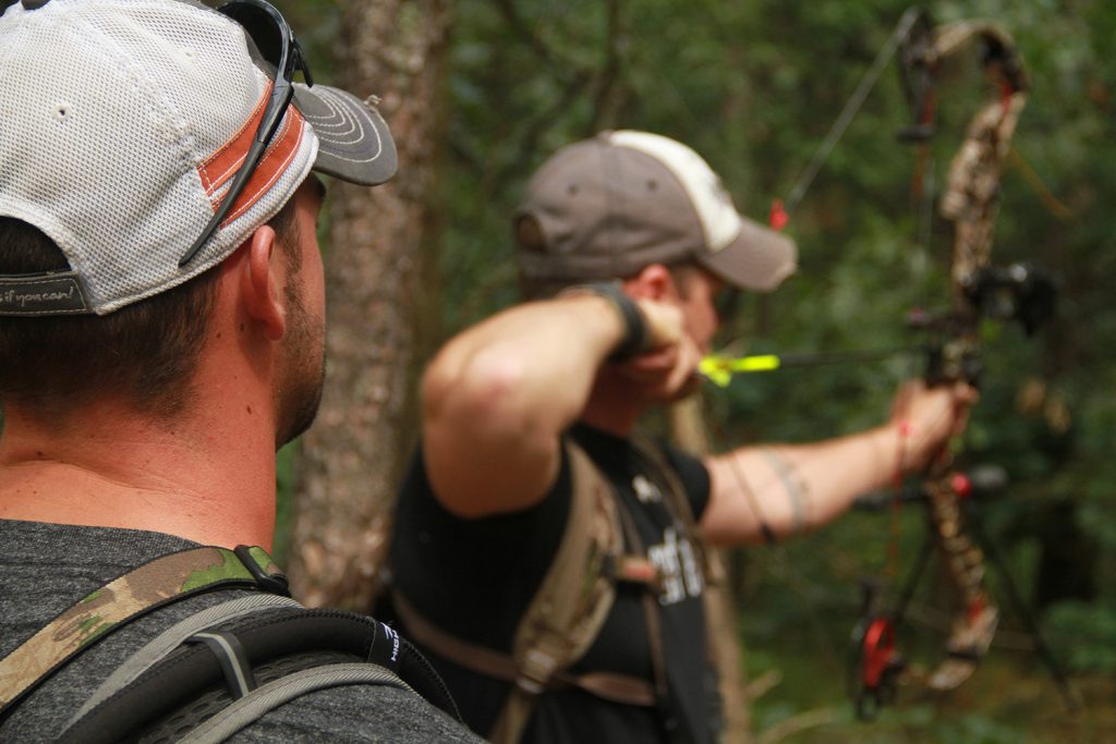 backyard bowhunting range 3d targets