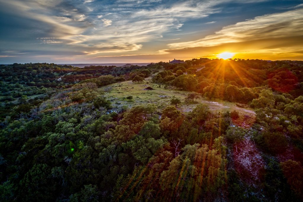 sunset hill country not desert goats in there wild goats