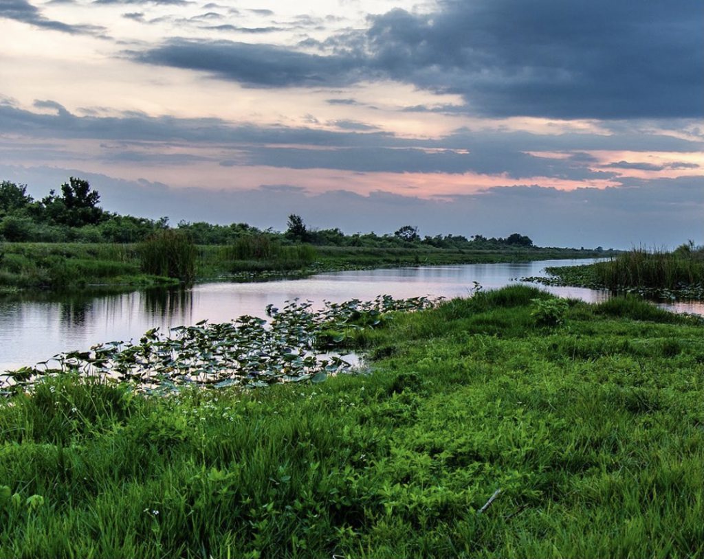 Coastal Conservation Association fisheries and habitat