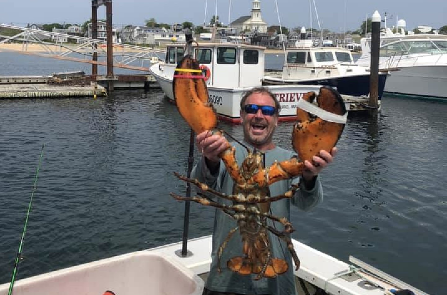 lobsterman scooped up by whale