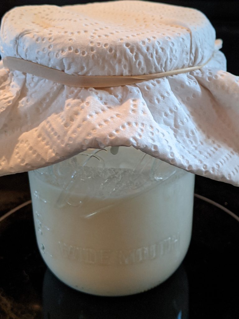 milk grain kefir