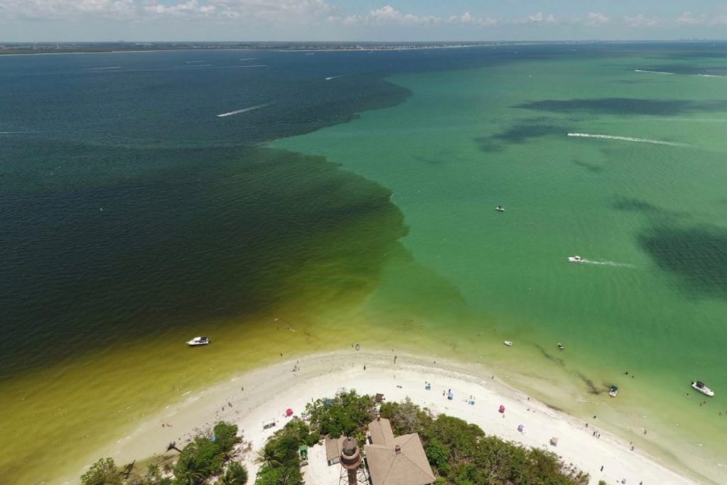 clean vs dirty water on the florida coast