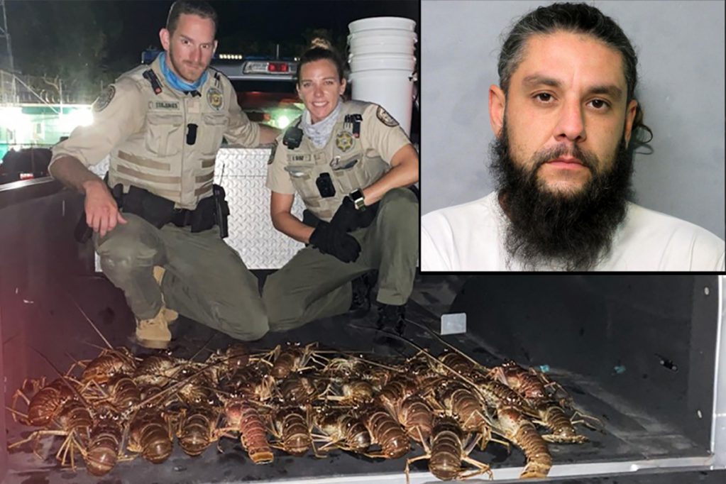 florida man arrested illegal lobsters