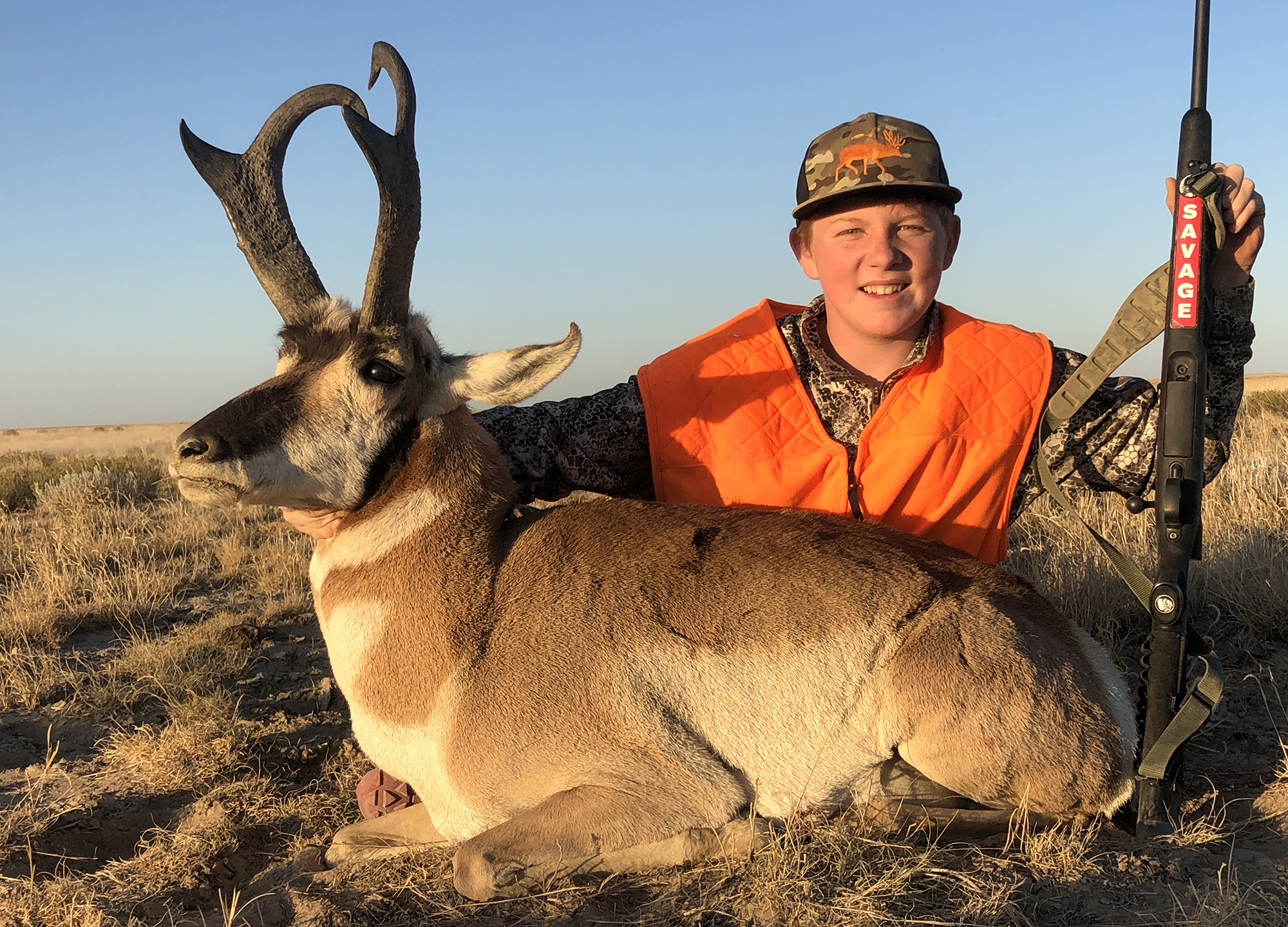 boone crockett pronghorn buck in colorado