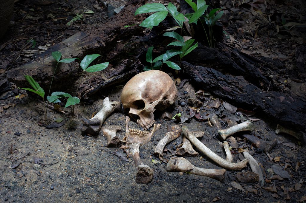 human skull and bones in depression in woods