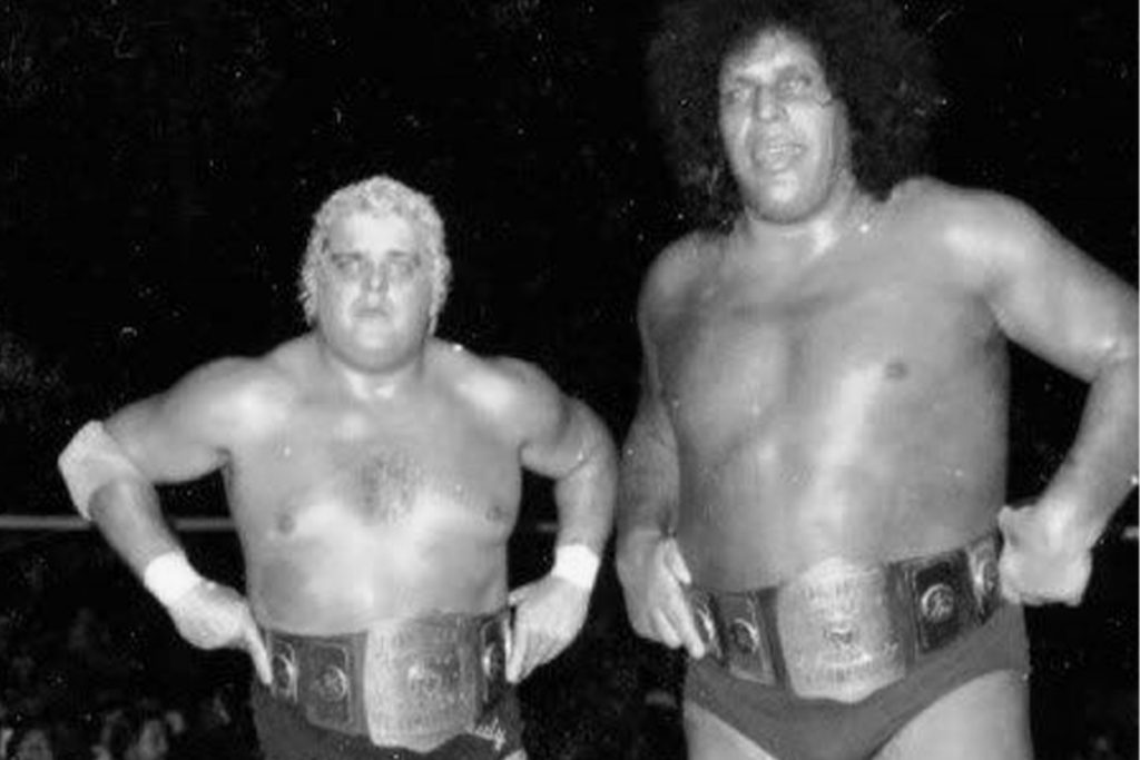 dusty rhodes and andre the giant wwf legends