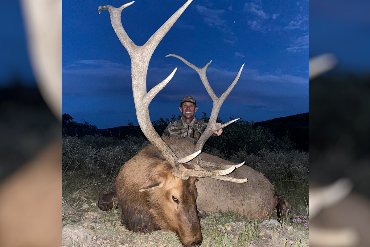 hunter with dead bull elk