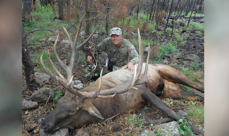 casey brooks record non typical bull elk 