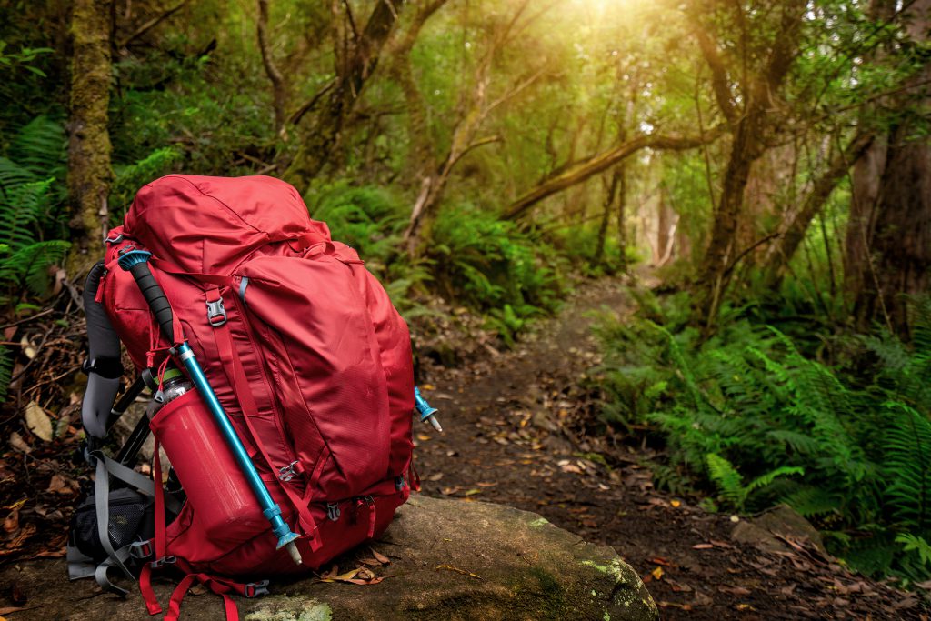 red hiking pack on rock in woods