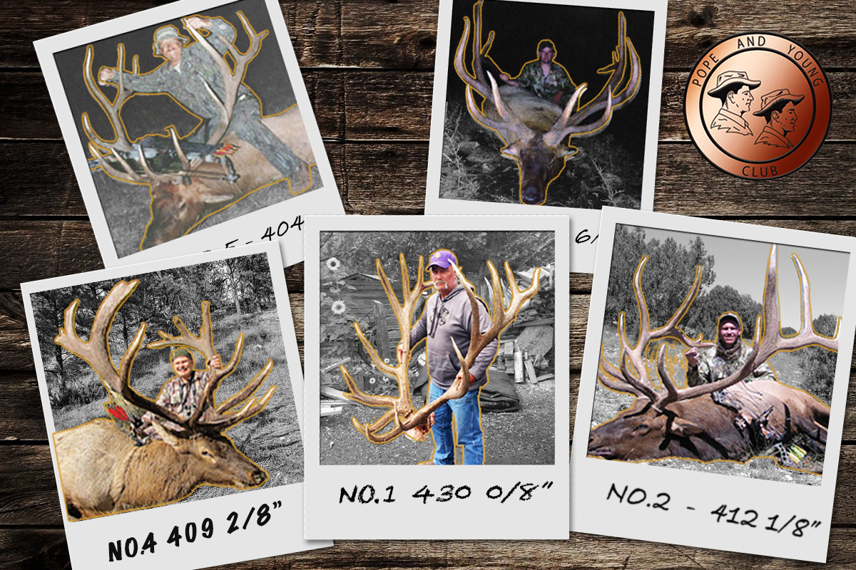 world record archery elk