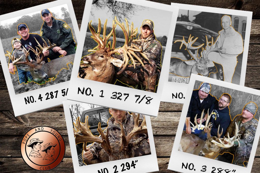 5 biggest non typical whitetail deer