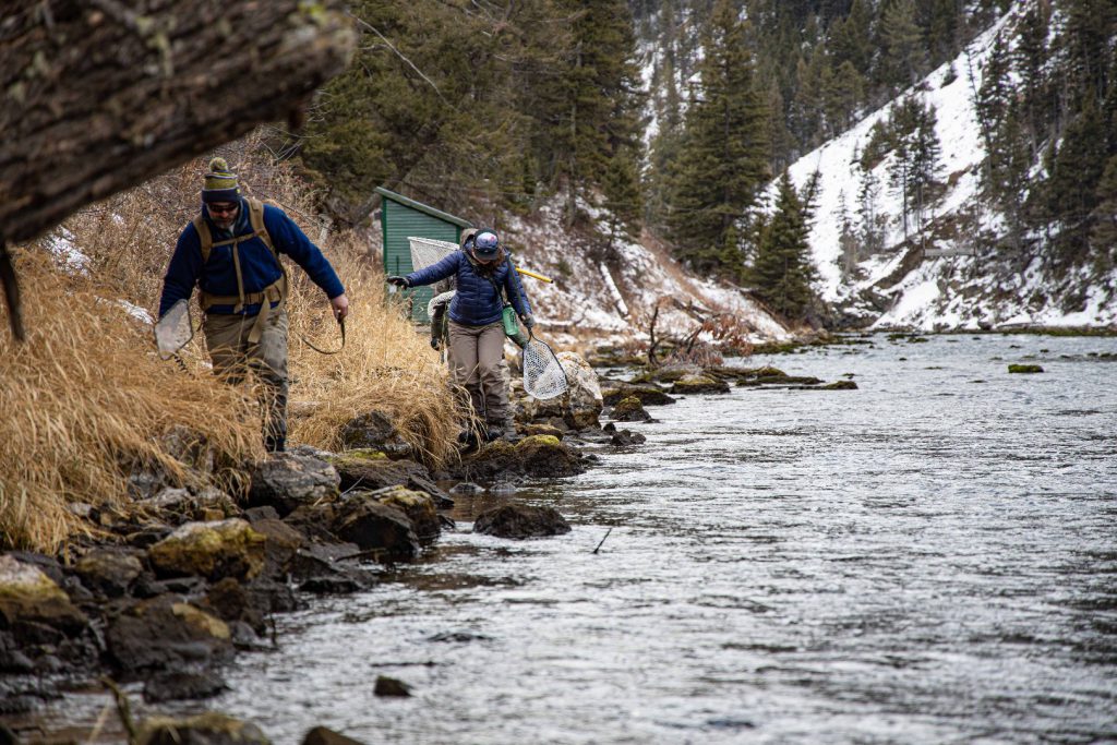 volunteers on the madison river