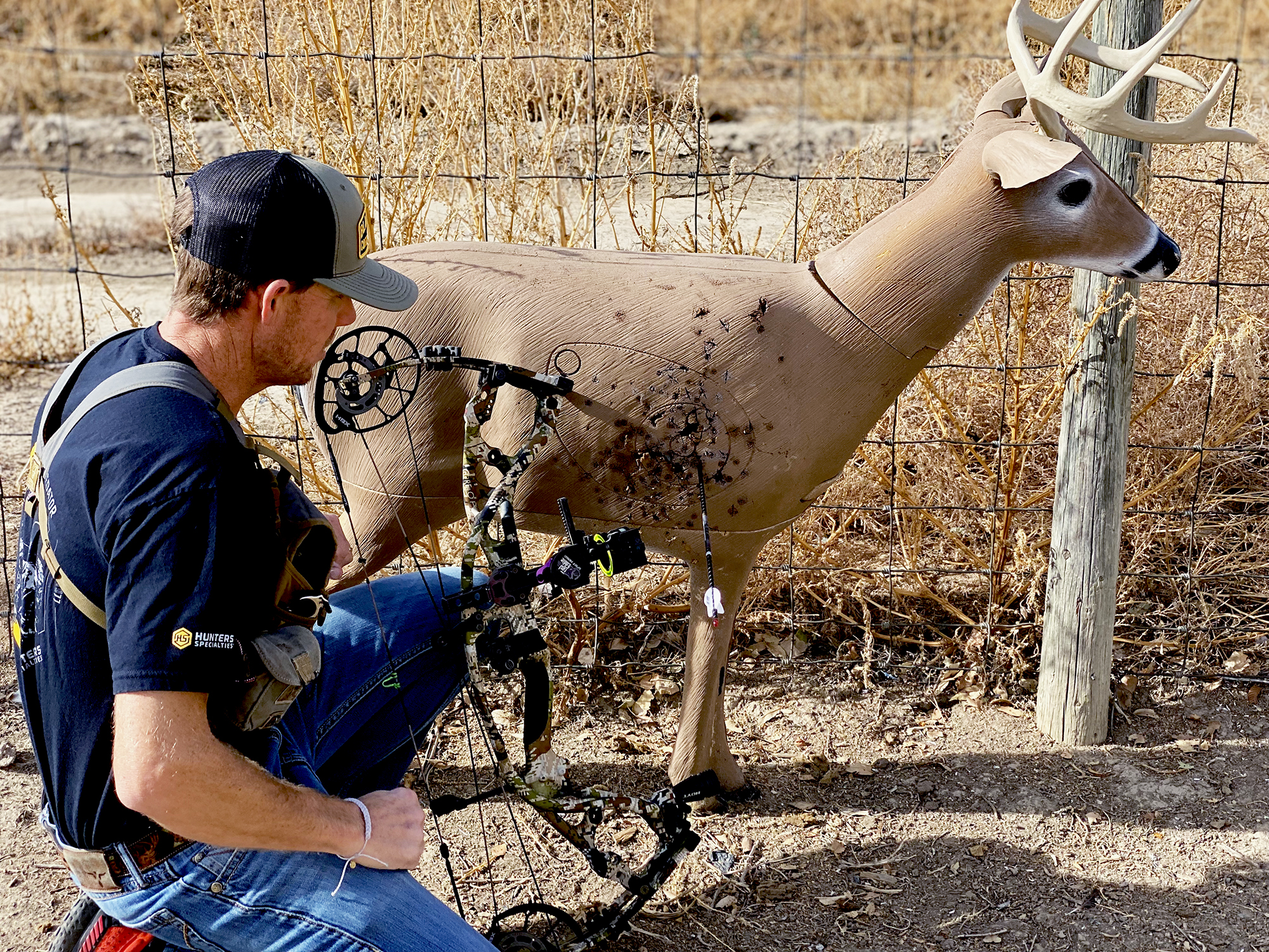 archery lessons / 3D targets