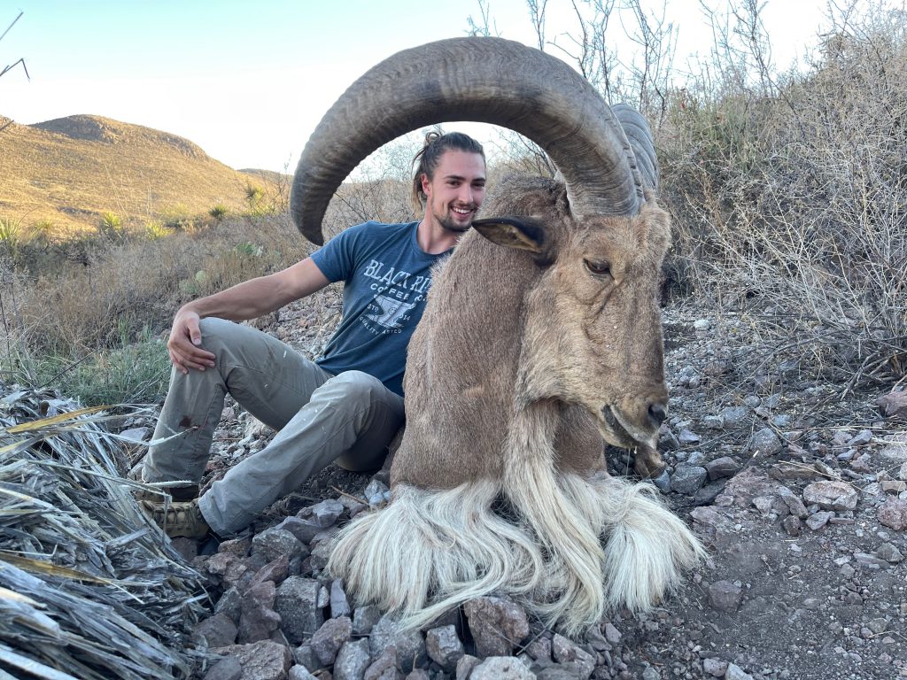 aoudad sheep texas record coues deer
