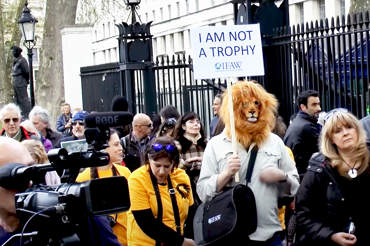 hunting trophies protest