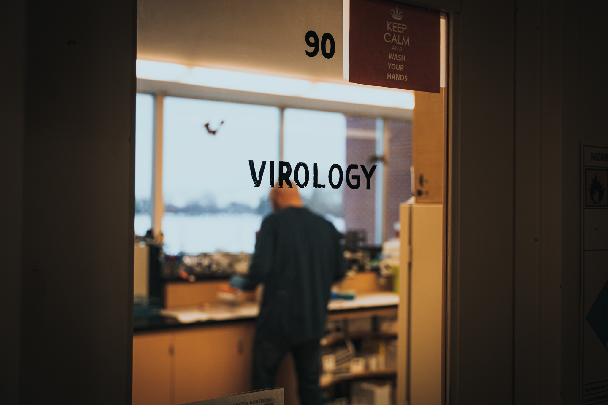 virology lab in mvdl