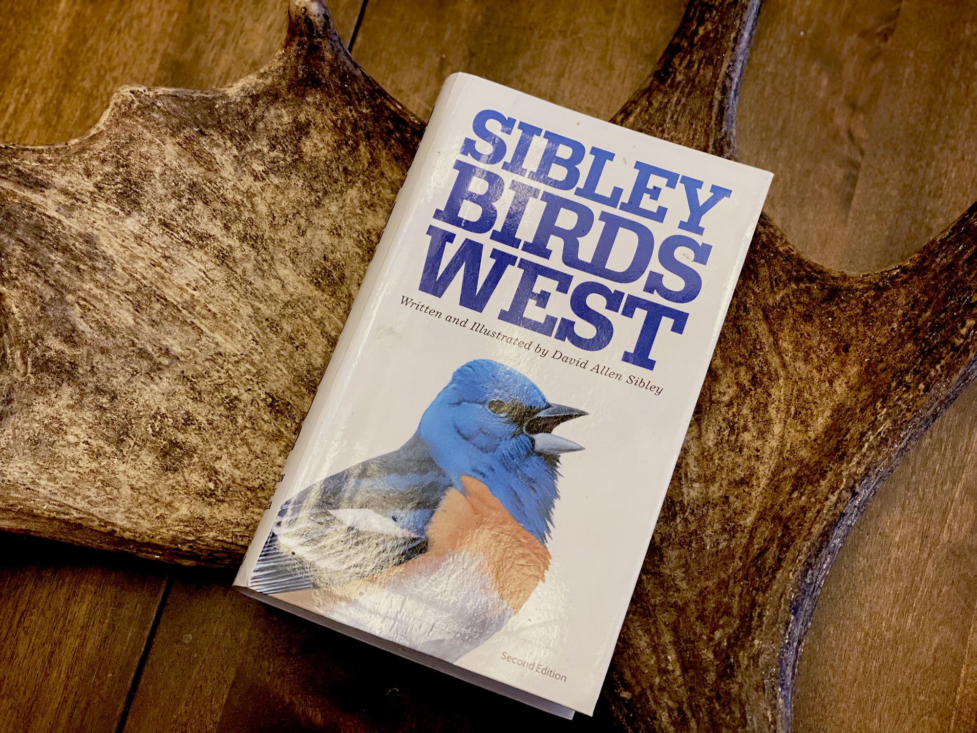 sibley birds west
