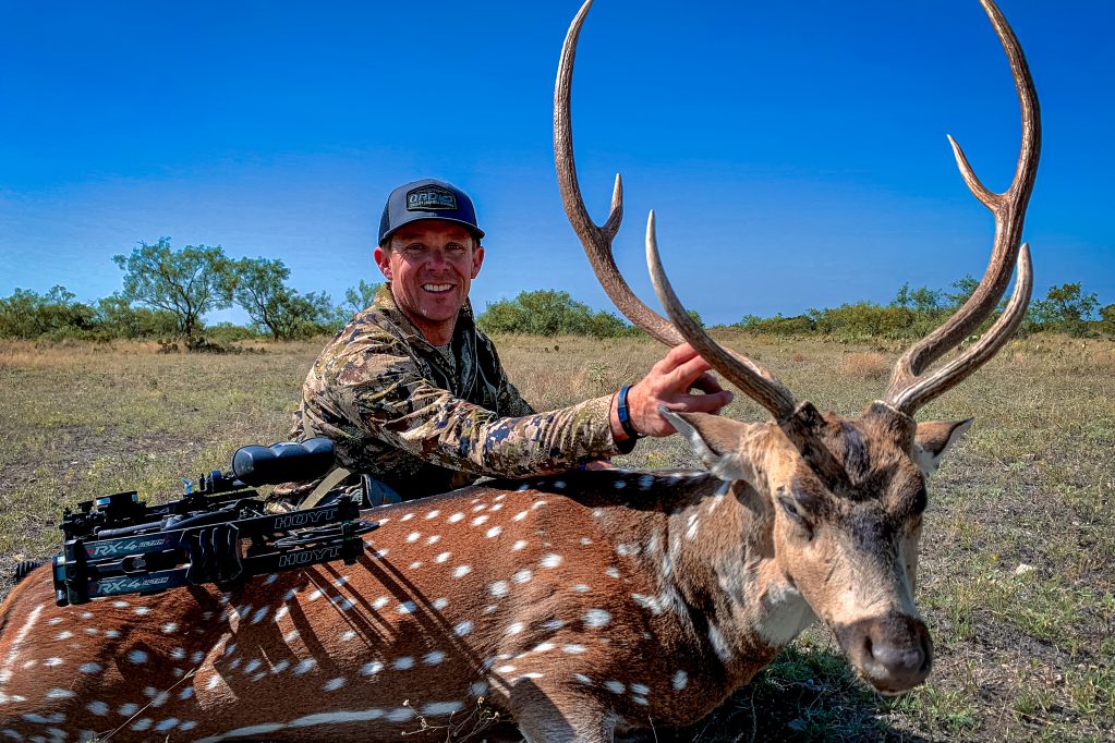 axis deer hunting in texas