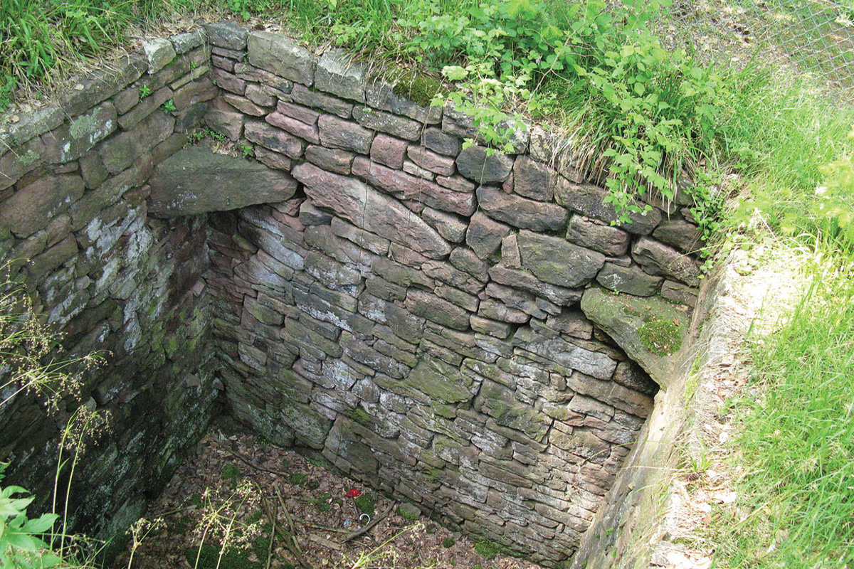 trapping pits for big game and boar hunting