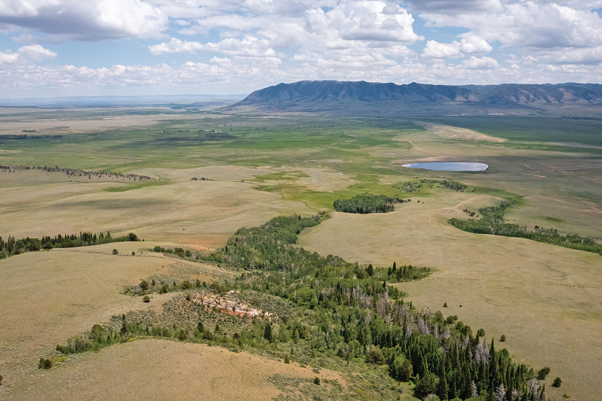 flying horseshoe ranch