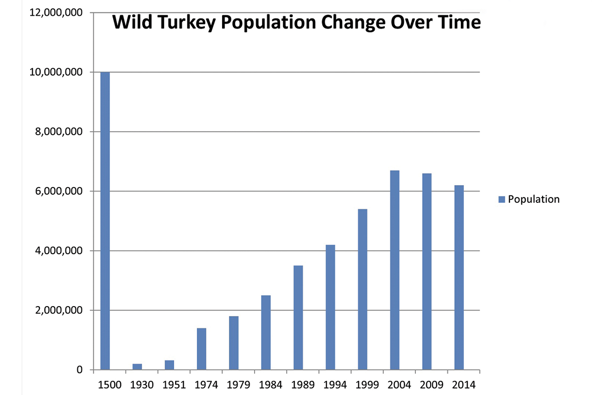 national state of turkeys