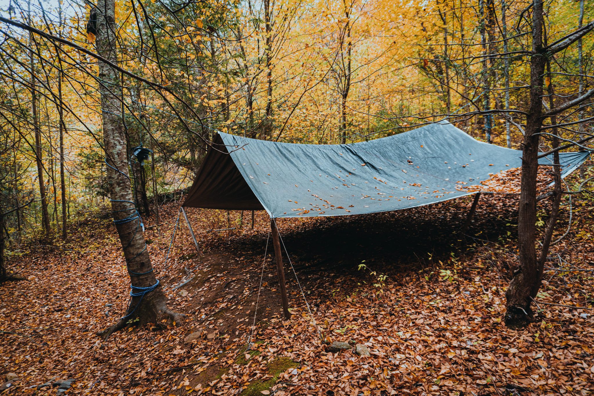 simple tarp tent