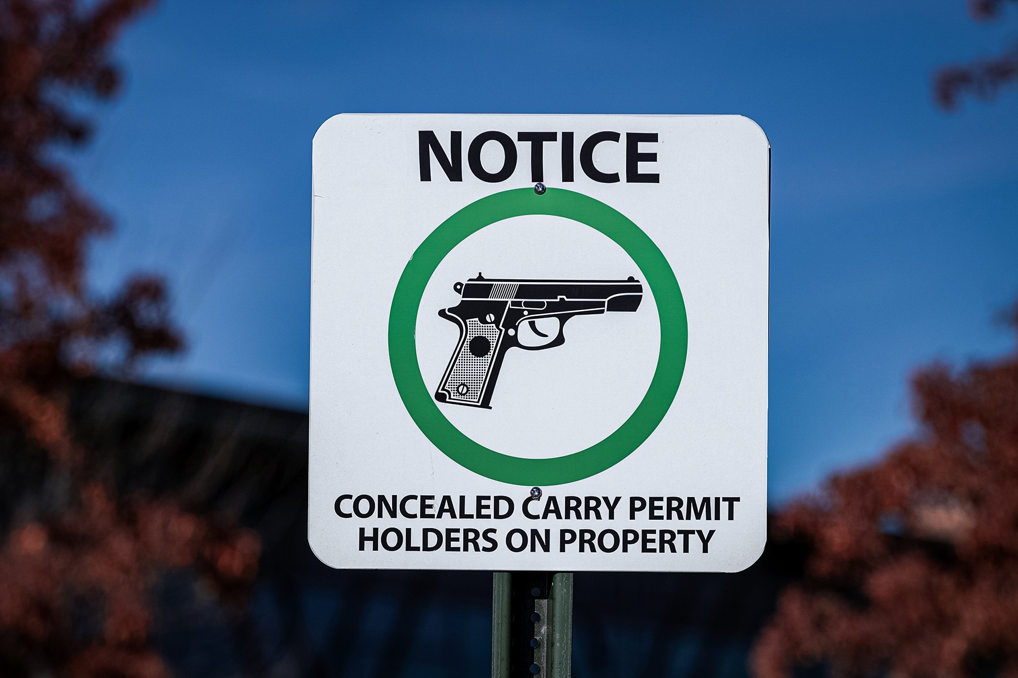 new york gun laws
