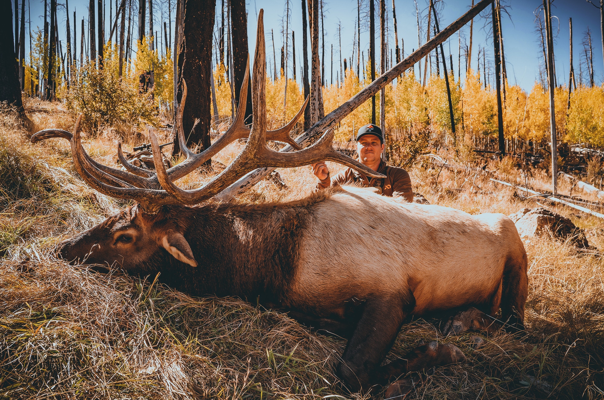 new mexico elk hunting