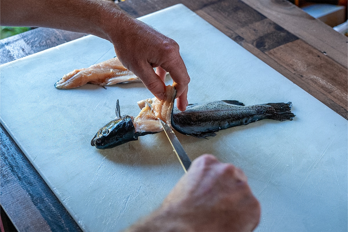 Filleting the fish