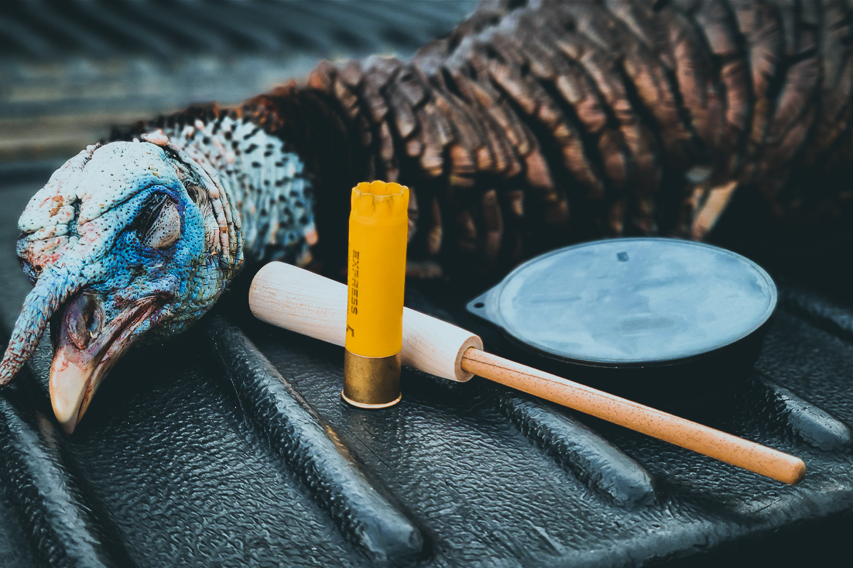 20-gauge shell and a turkey call